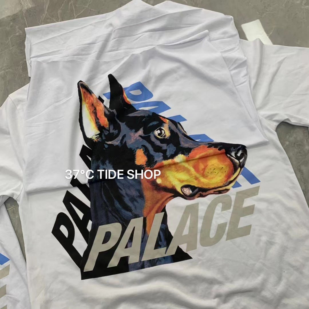 37도 / 팔라스 반팔티 , PALACE SS22 P-3-K-9 T-shirt