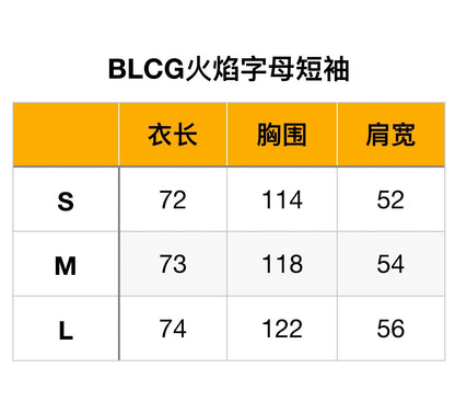 zb / 발렌시아가 반팔티