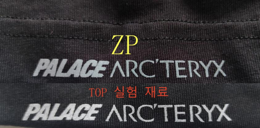 탑팔라스 / 팔라스 아크테릭스 콜라보 반팔티 , Palace x Arc'teryx