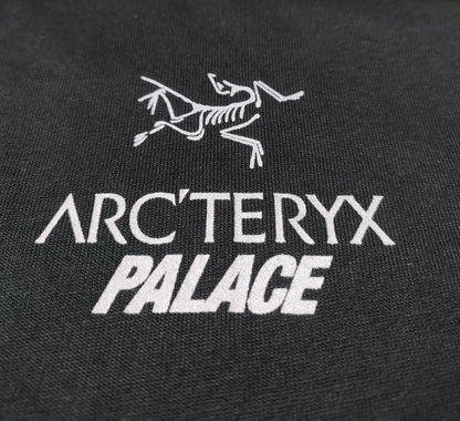 탑팔라스 / 팔라스 아크테릭스 콜라보 반팔티 , Palace x Arc'teryx