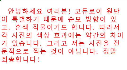 탑폴로 / 폴로 바라쿠타 자켓