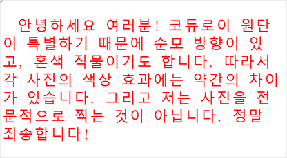 탑폴로 / 폴로 바라쿠타 자켓