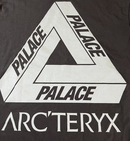 탑팔라스 / 팔라스 아크테릭스 콜라보 반팔티 , Palace x Arc'teryx