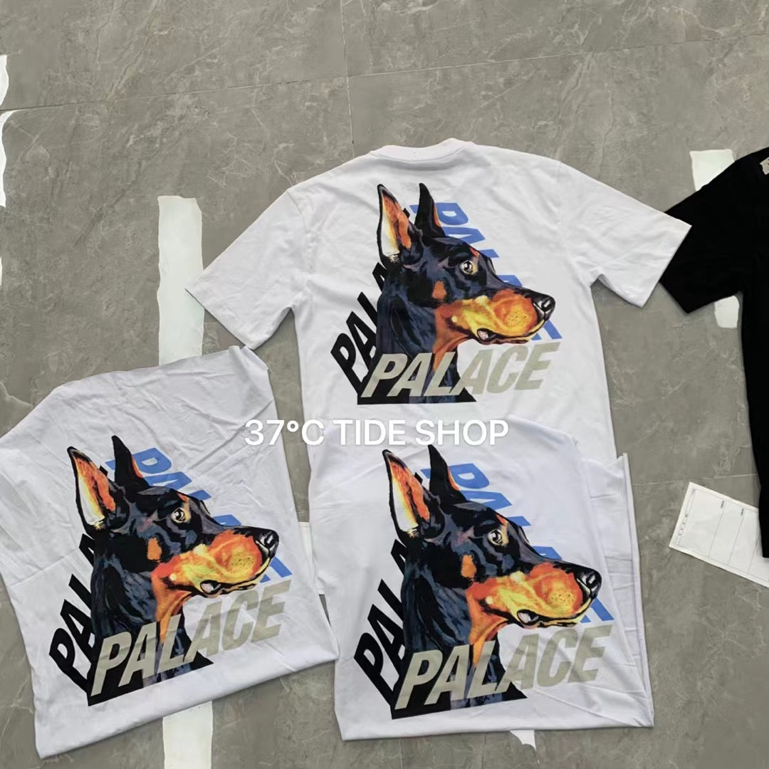 37도 / 팔라스 반팔티 , PALACE SS22 P-3-K-9 T-shirt