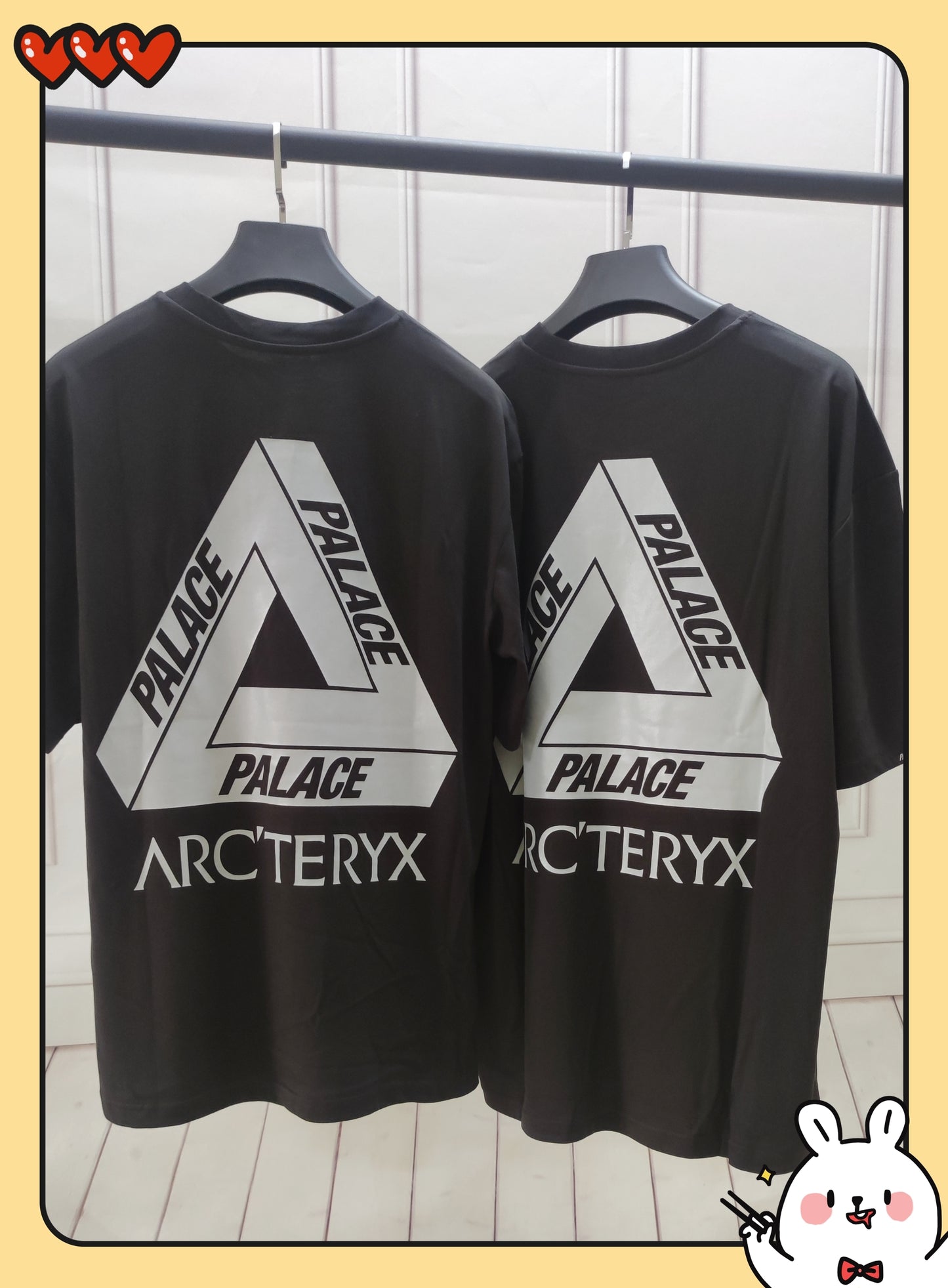 탑팔라스 / 팔라스 아크테릭스 콜라보 반팔티 , Palace x Arc'teryx