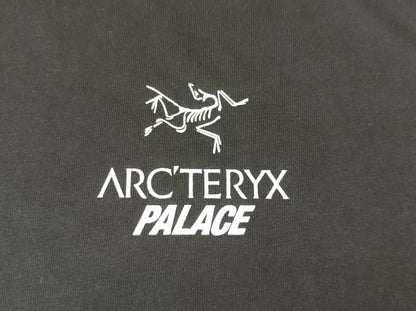 탑팔라스 / 팔라스 아크테릭스 콜라보 반팔티 , Palace x Arc'teryx